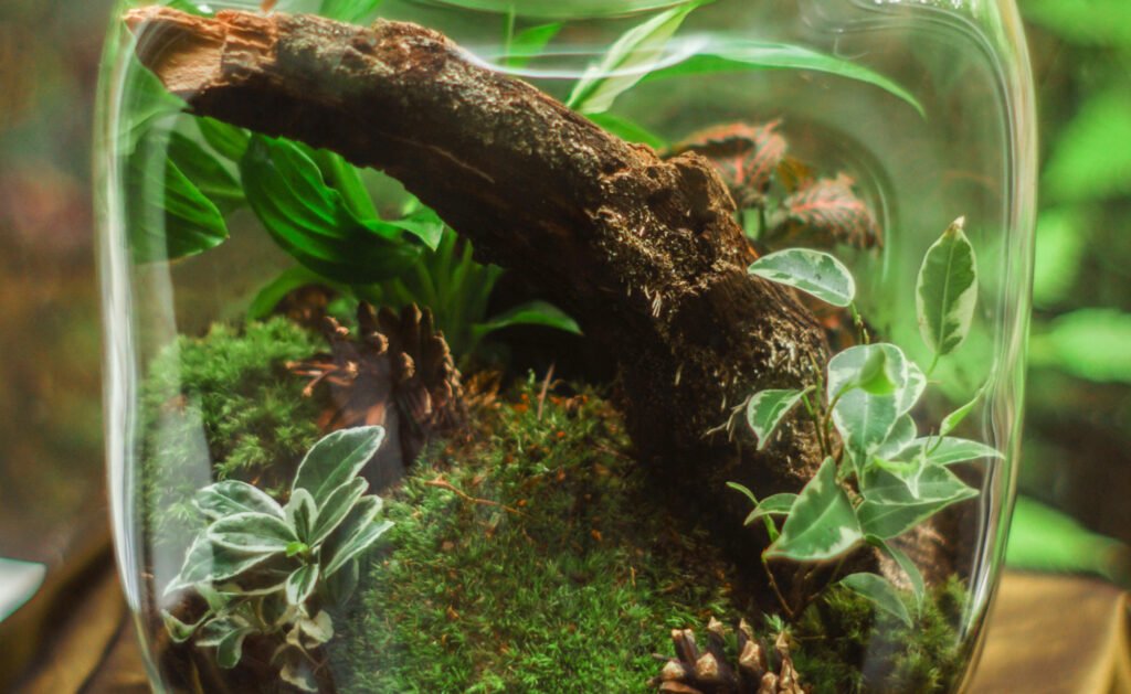 Bottle habitat